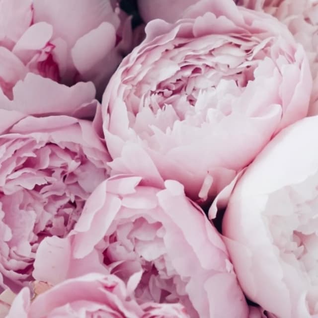 Brazilian & Underarm Wax Package at Pretty Girls Beauty Studio in Plantation, FL